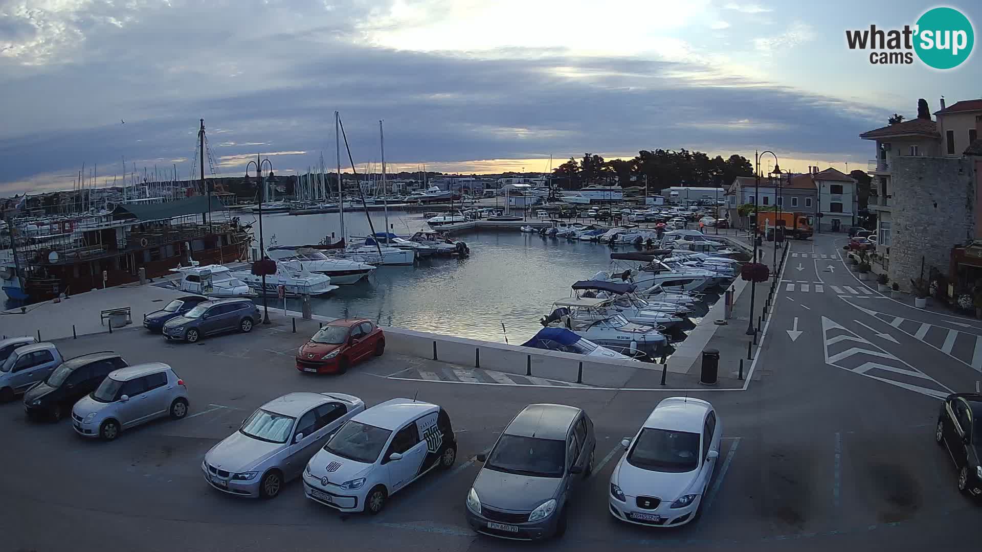 Novigrad | Porporela marina