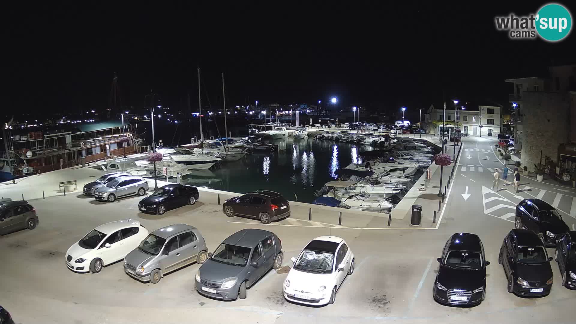 Novigrad | Porporela marina