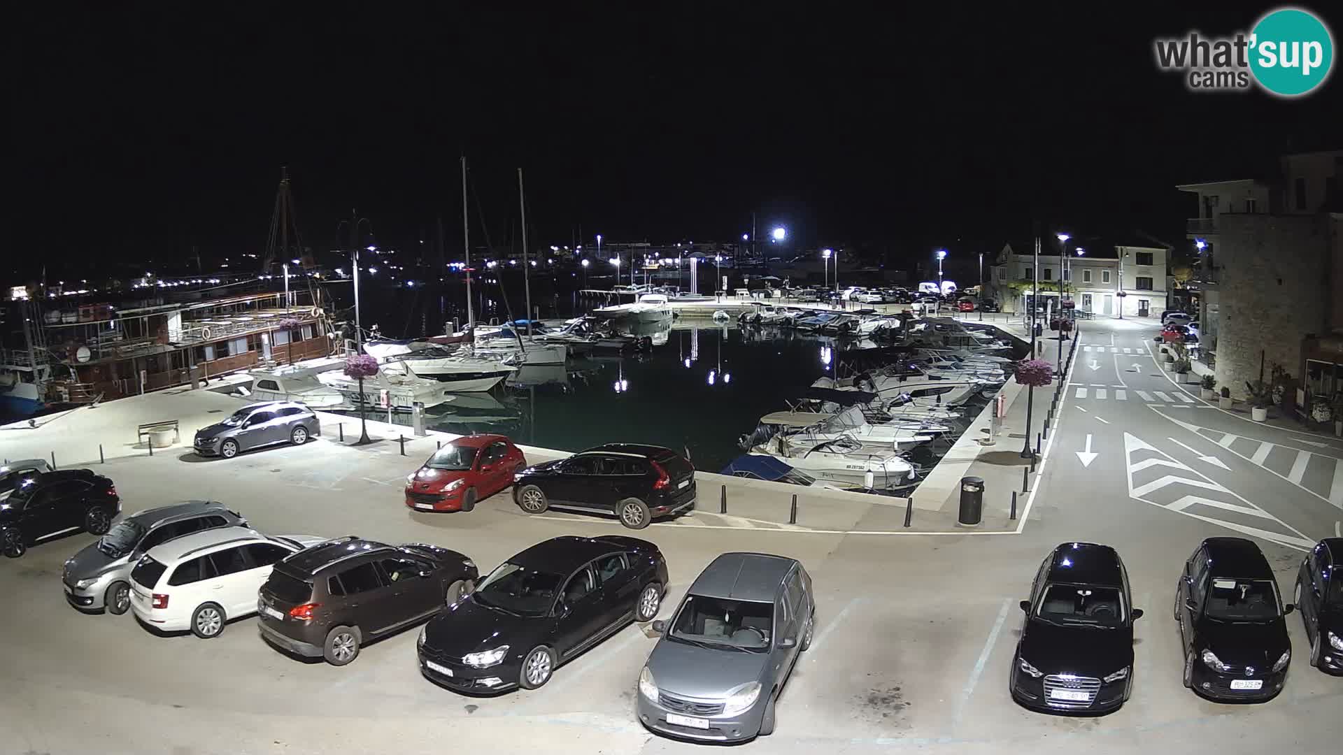 Novigrad | Porporela marina