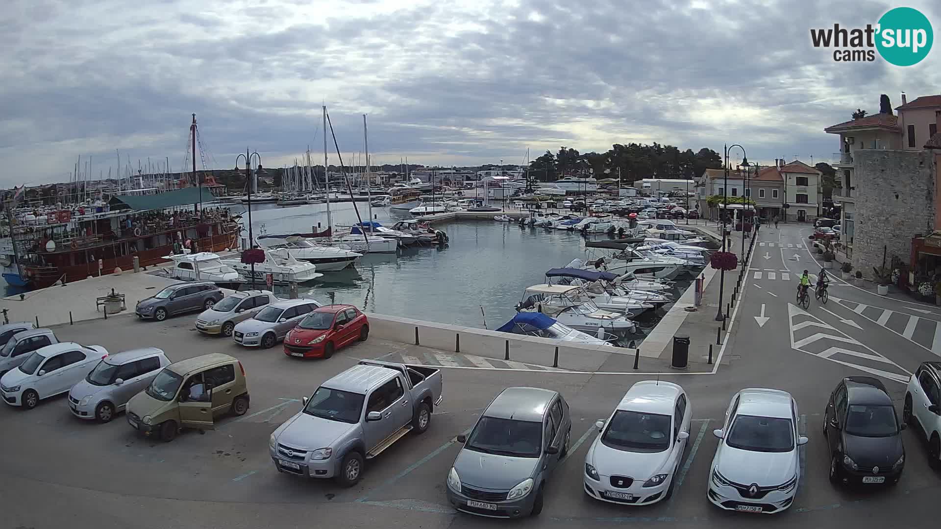 Novigrad | Porporela marina