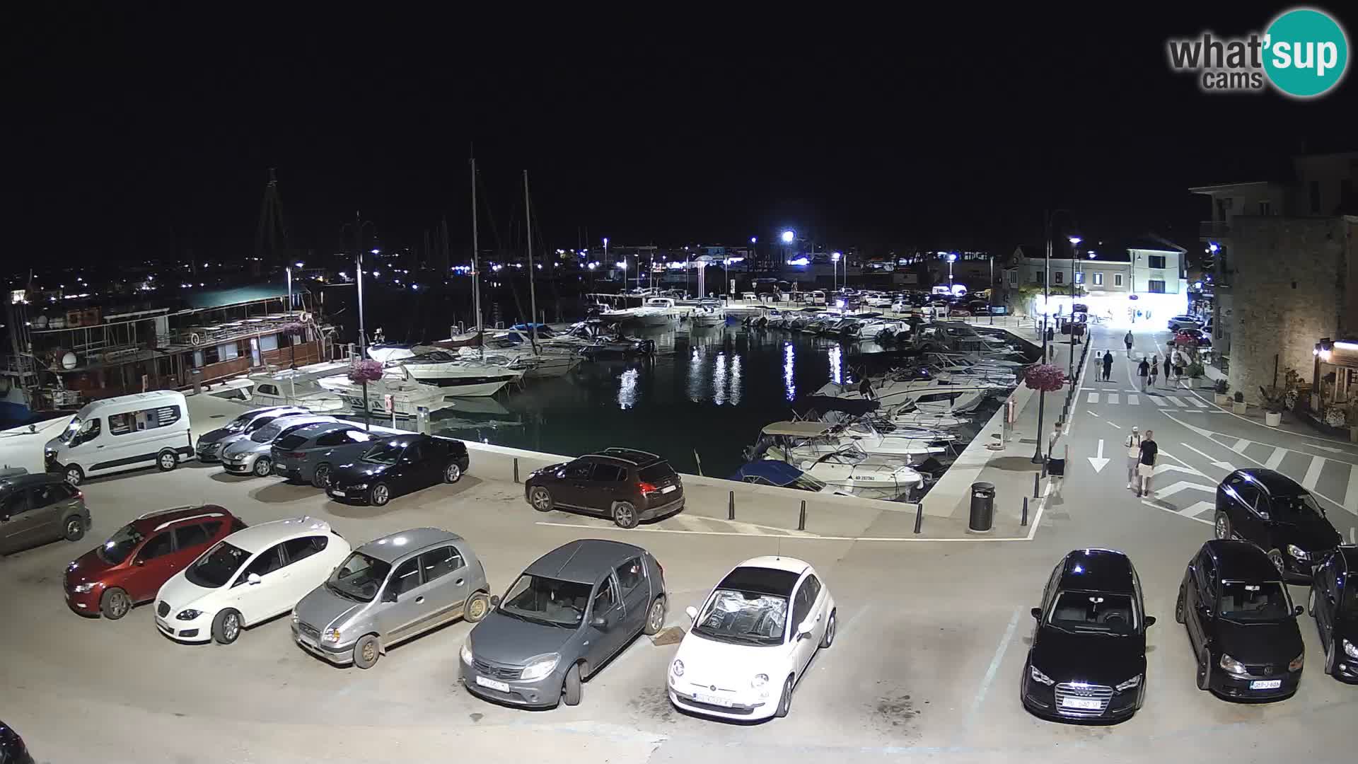 Novigrad | Porporela marina