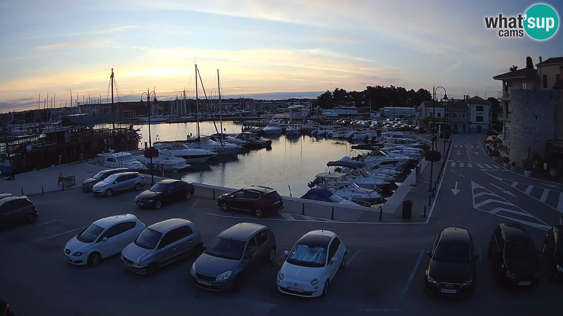 Novigrad | Porporela marina