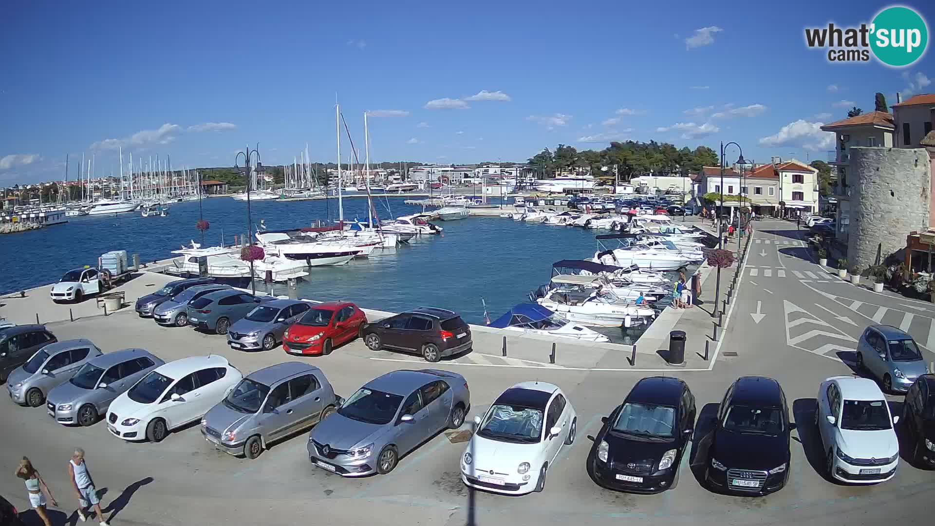 Novigrad | Porporela marina