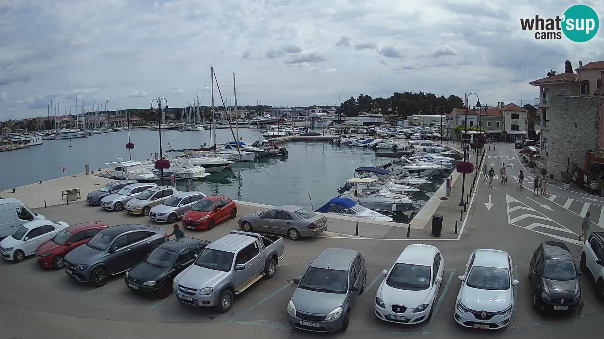 Novigrad | Porporela marina
