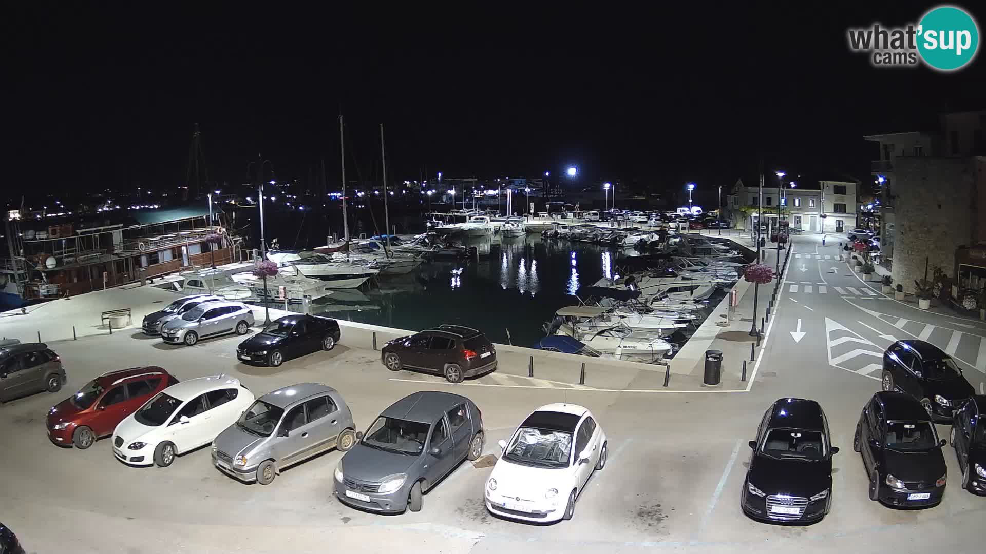 Novigrad | Porporela marina