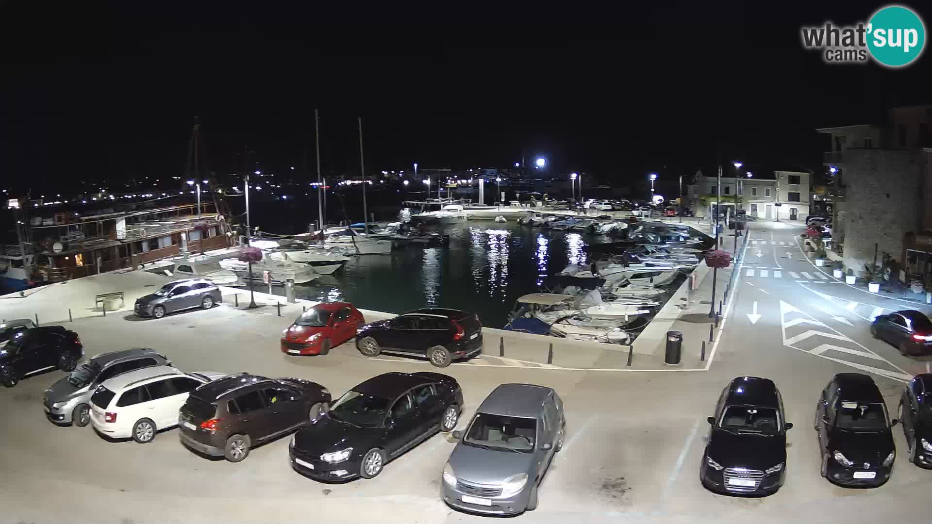 Novigrad | Porporela marina