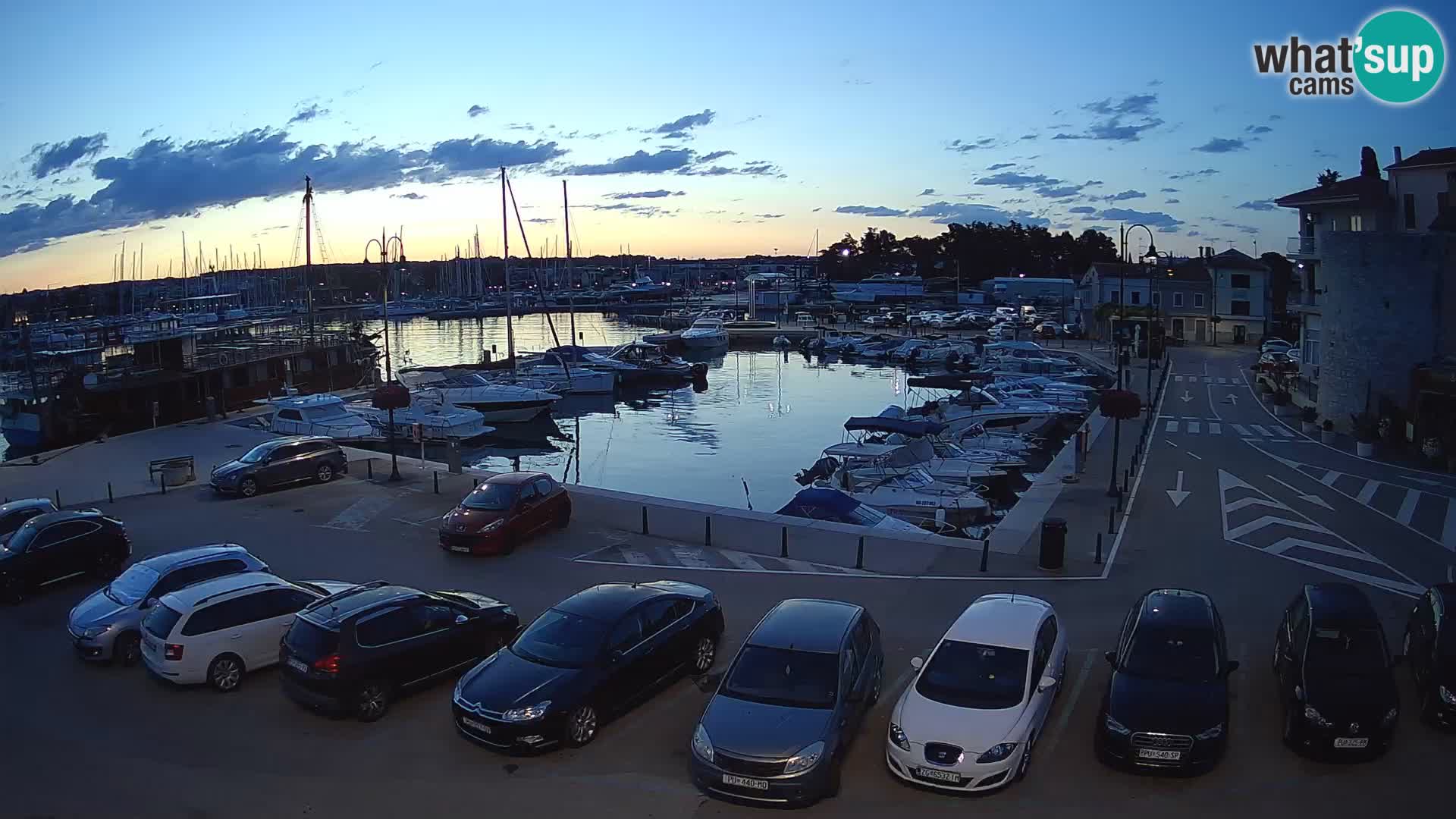 Novigrad | Porporela marina
