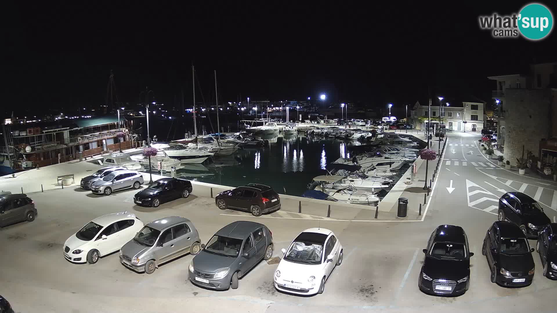 Novigrad | Porporela marina