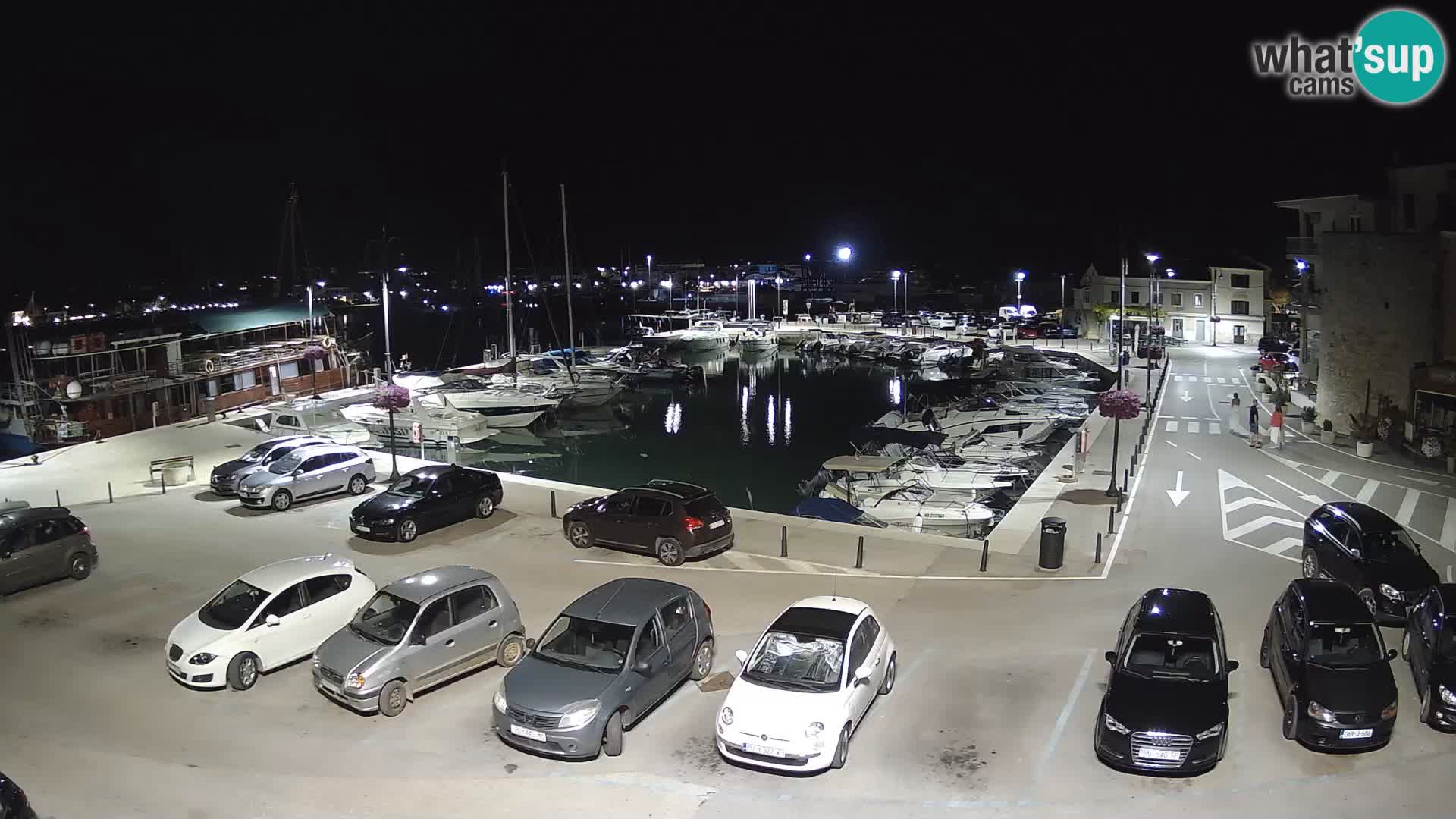 Novigrad | Porporela marina
