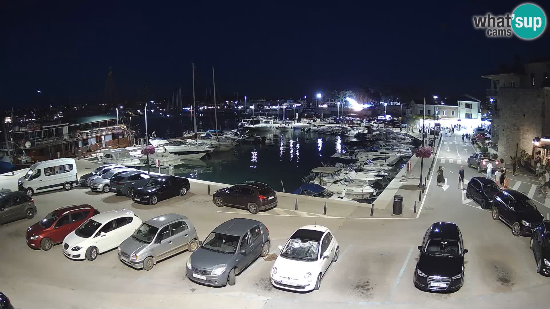 Novigrad | Porporela marina