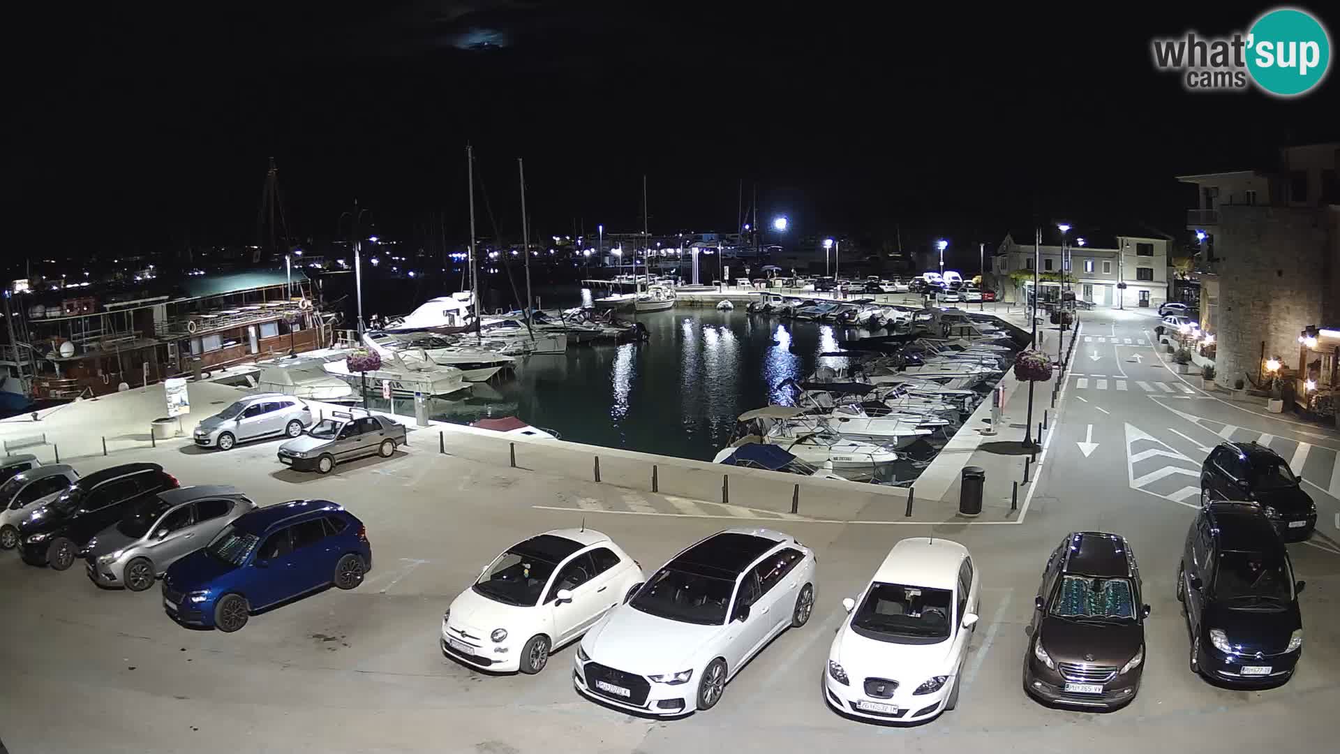 Novigrad | Porporela marina