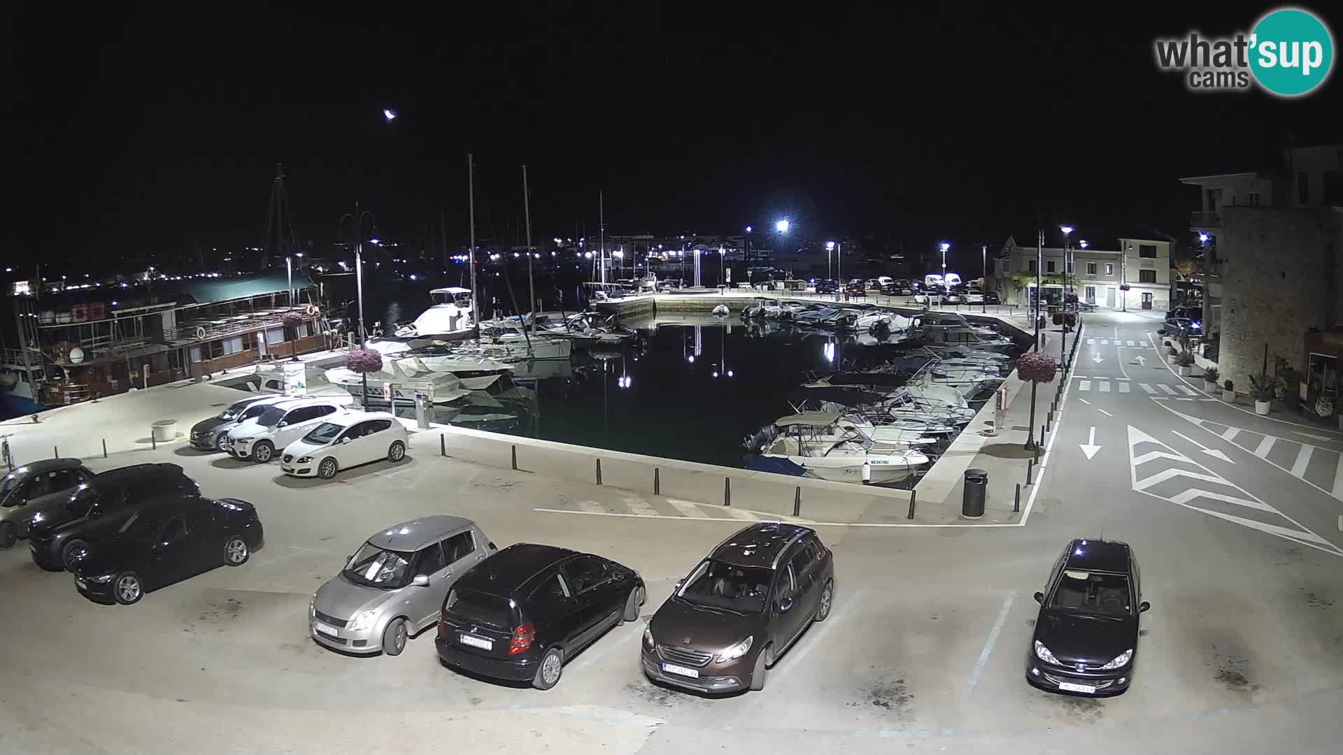 Novigrad | Porporela marina