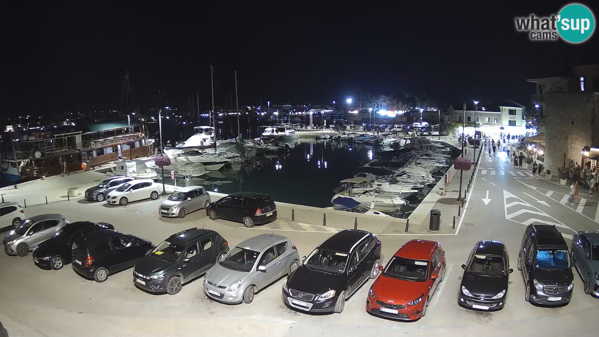 Novigrad | Porporela marina