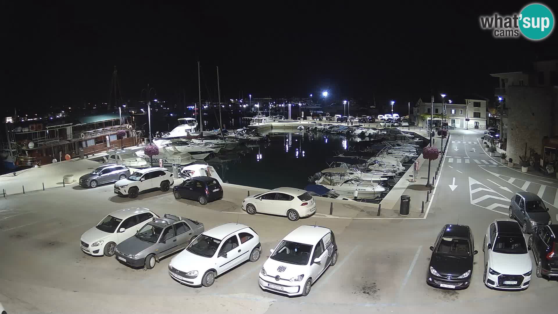 Novigrad | Porporela marina