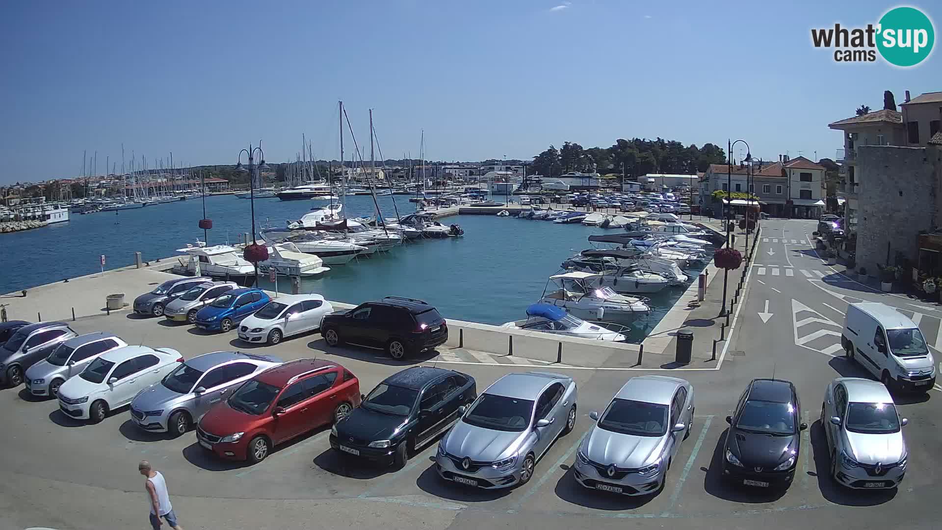 Novigrad | Porporela marina