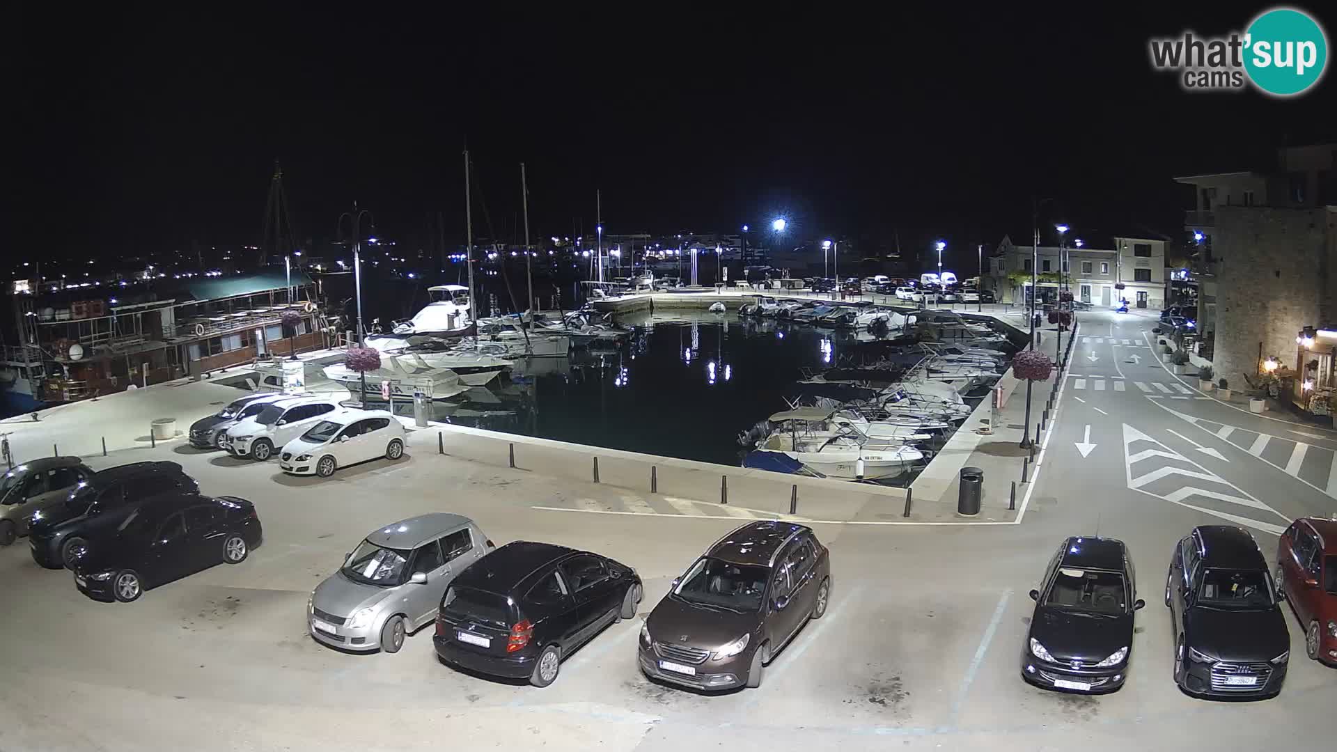 Novigrad | Porporela marina