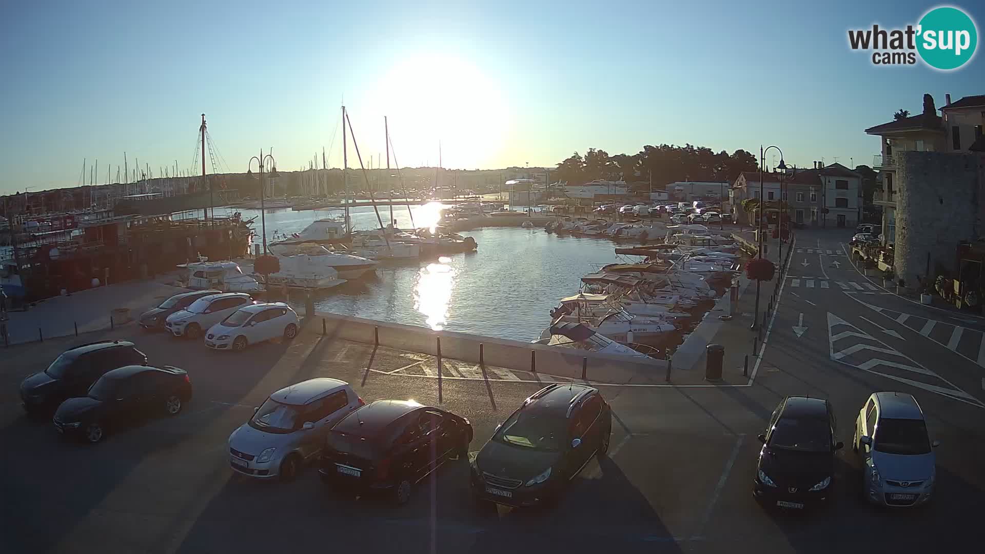 Novigrad | Porporela marina
