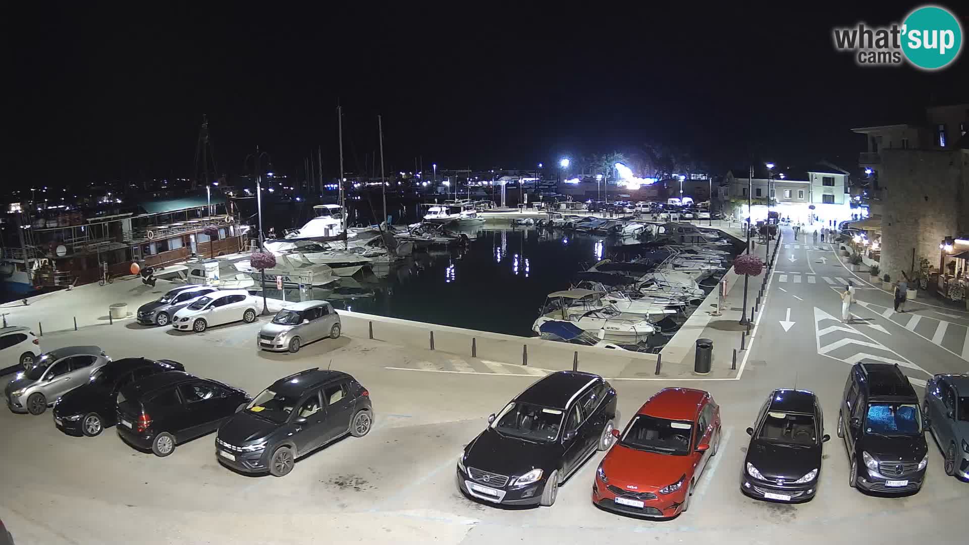 Novigrad | Porporela marina