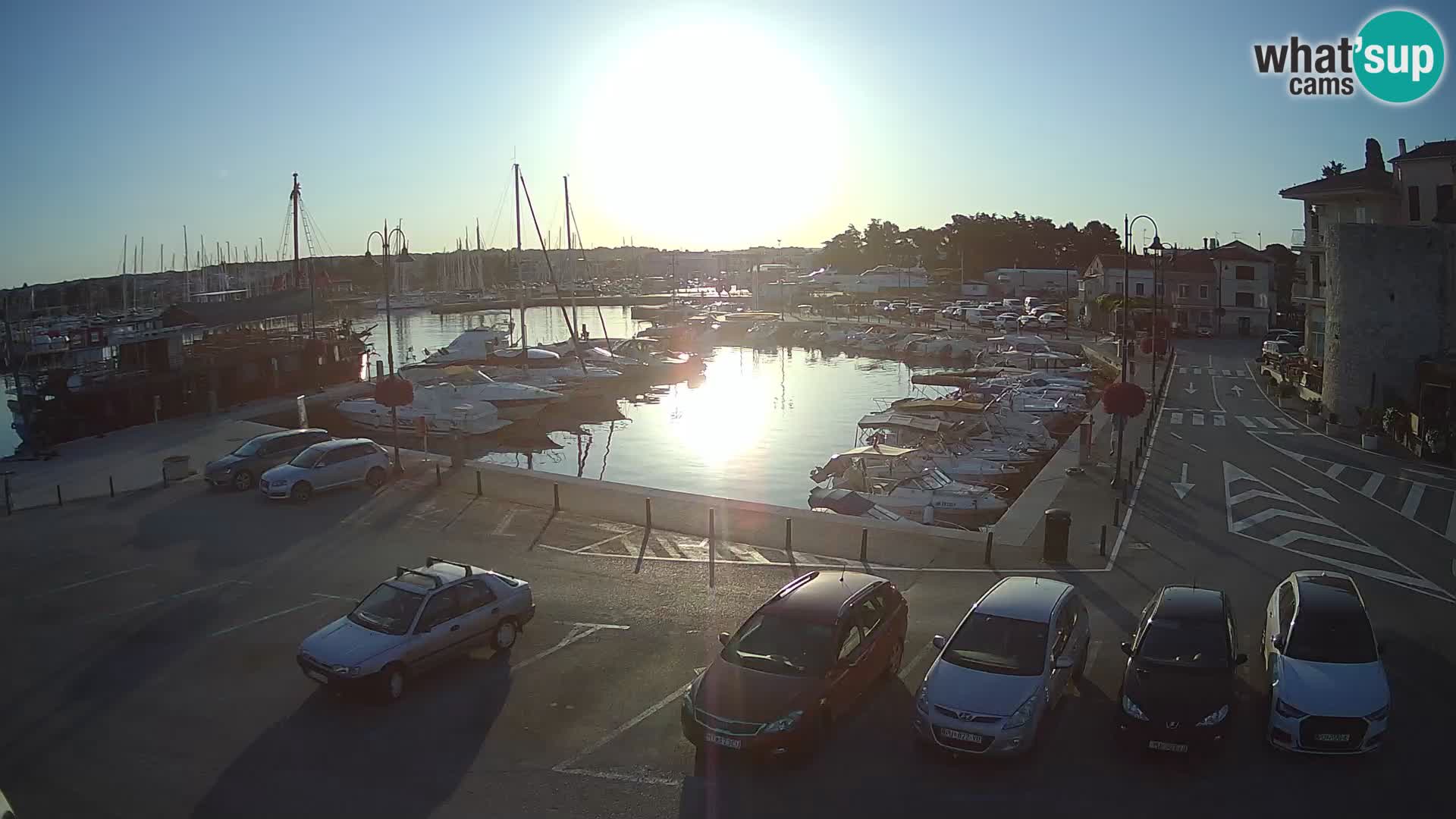 Novigrad | Porporela marina