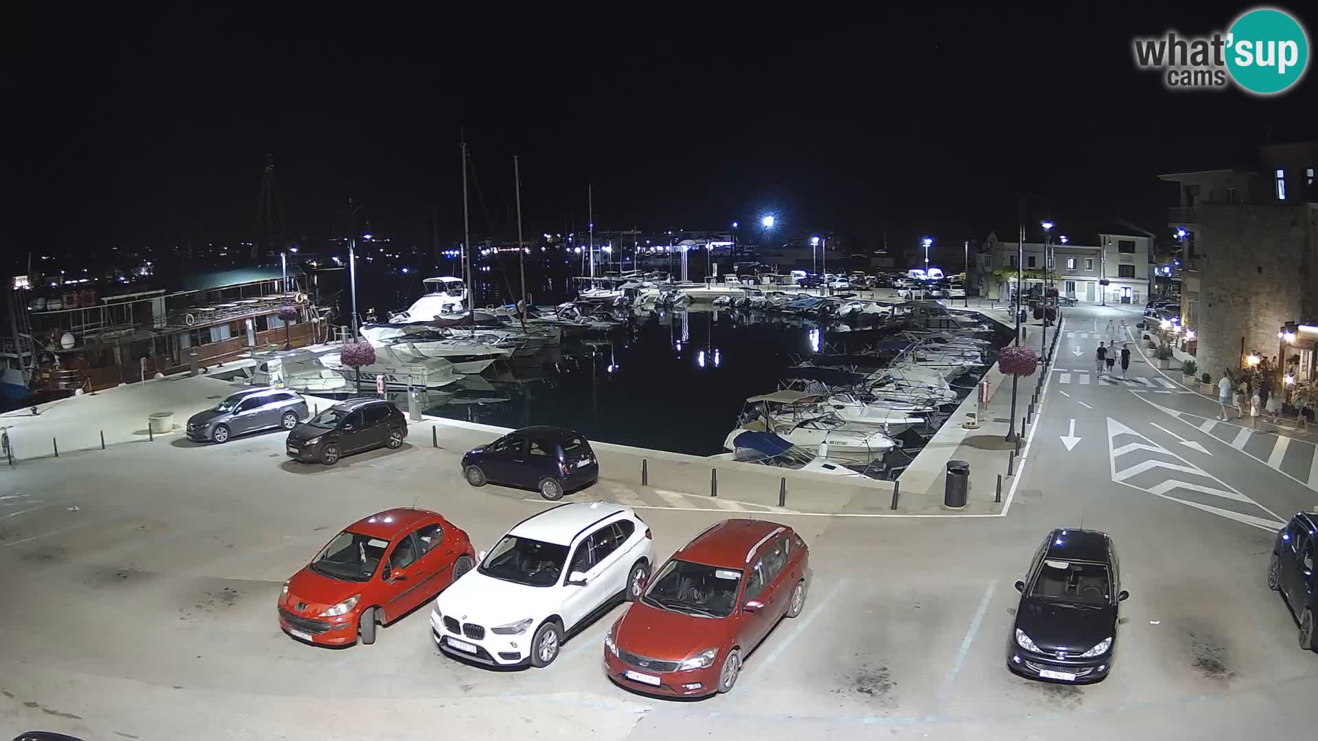 Novigrad | Porporela marina