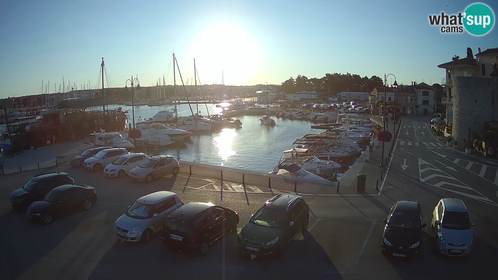 Novigrad | Porporela marina