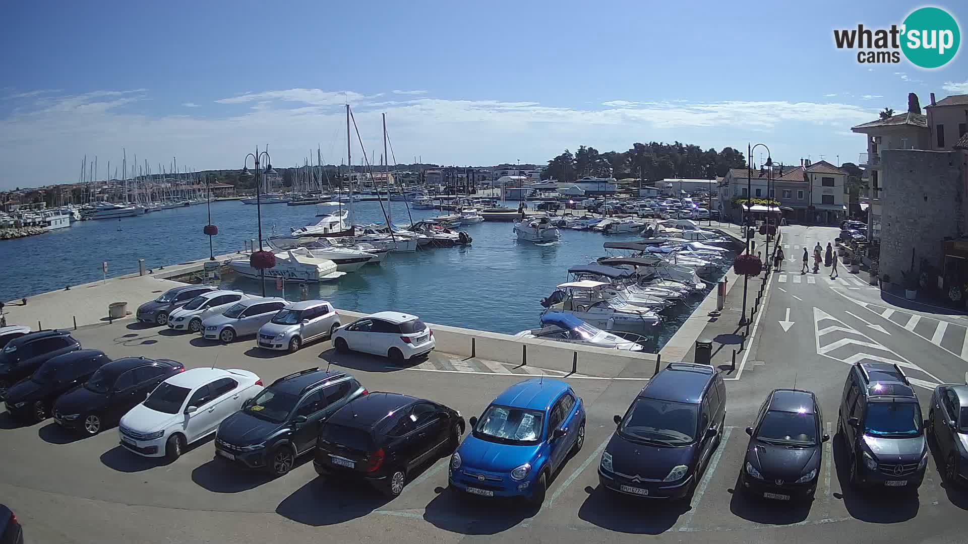 Novigrad | Porporela marina