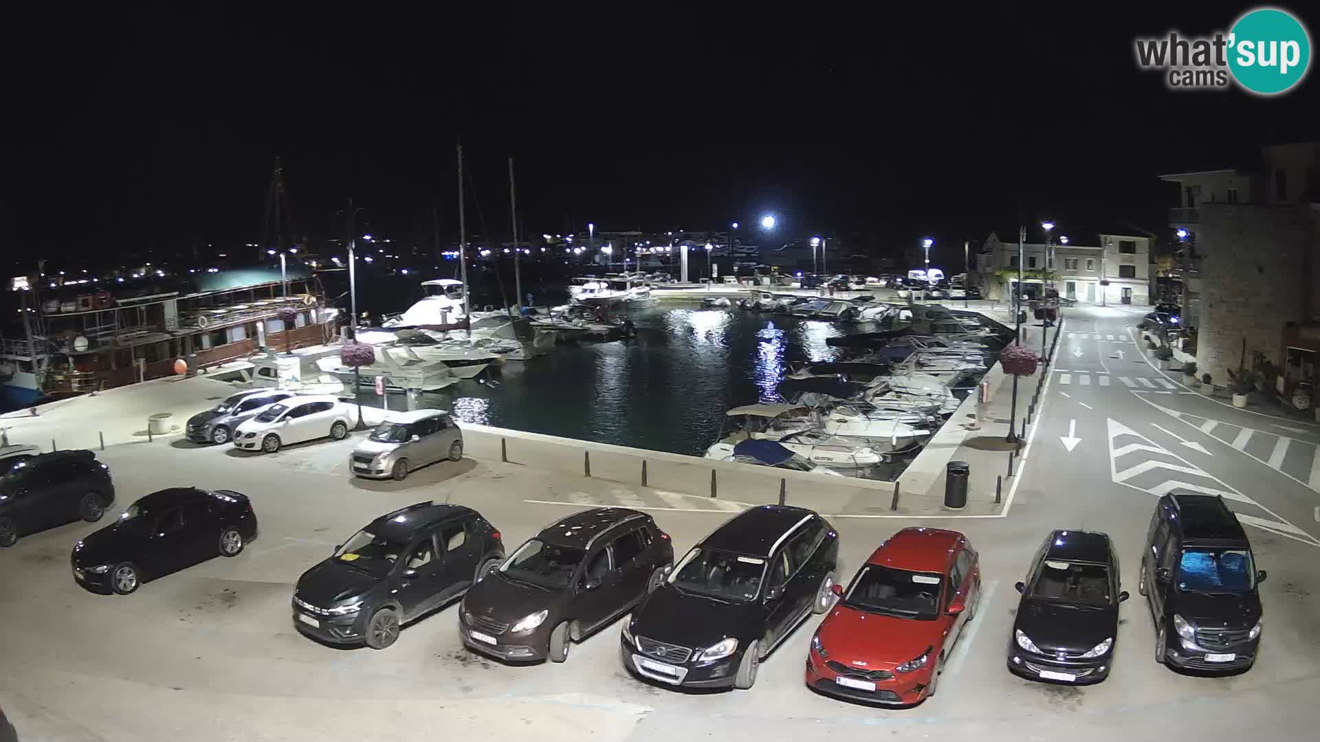 Novigrad | Porporela marina