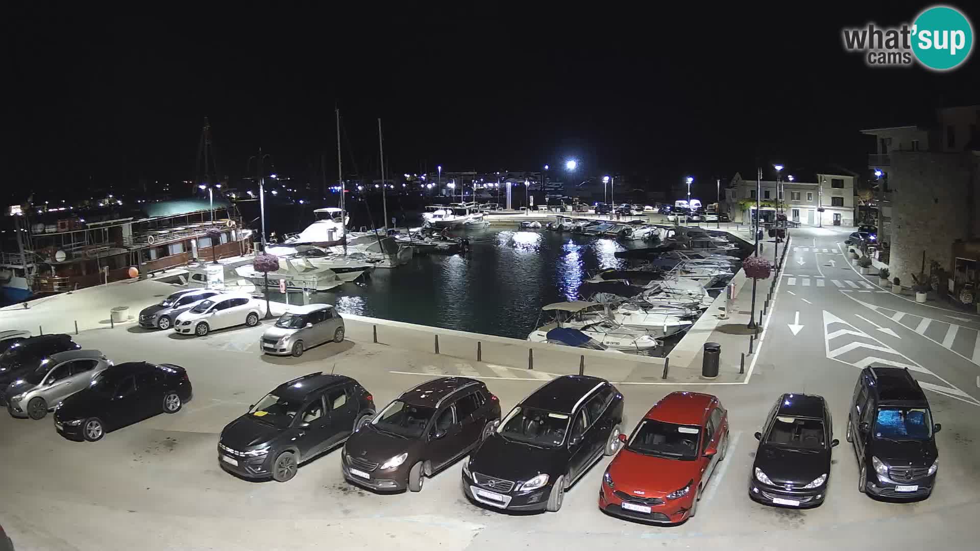 Novigrad | Porporela marina