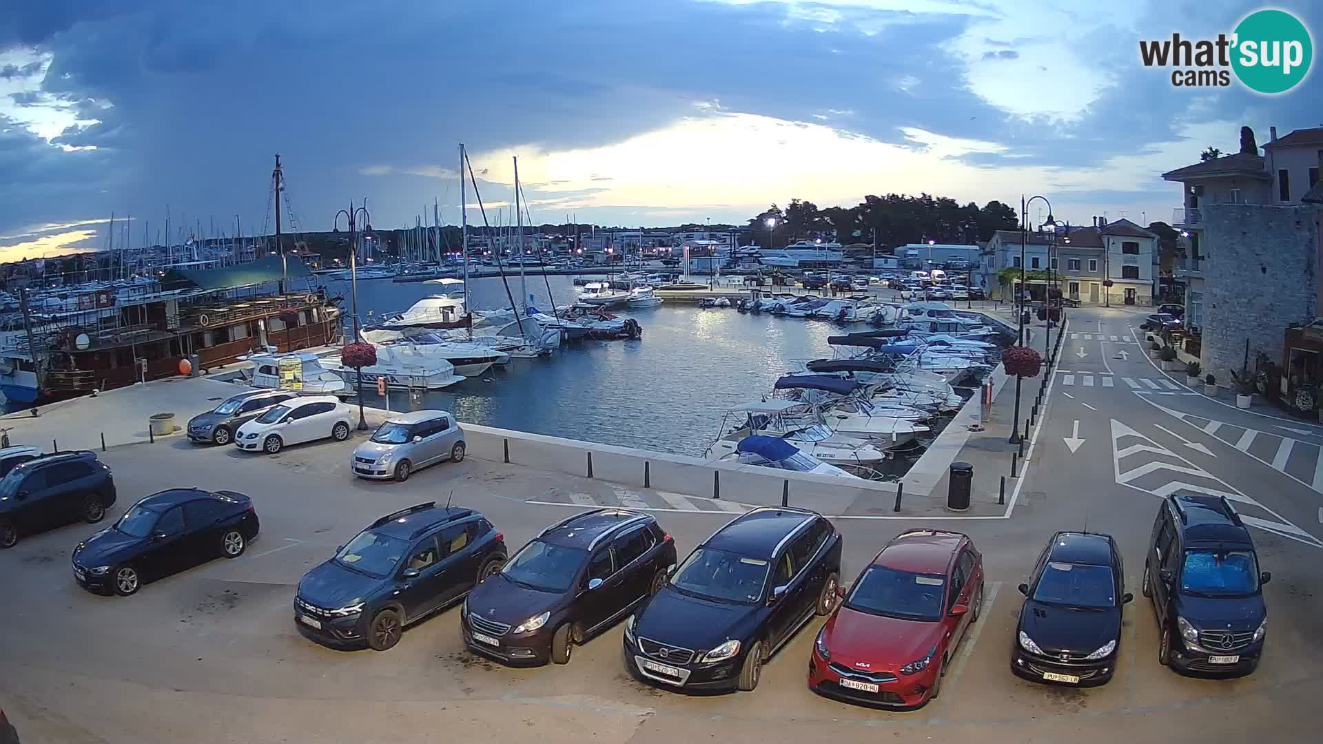 Novigrad | Porporela marina