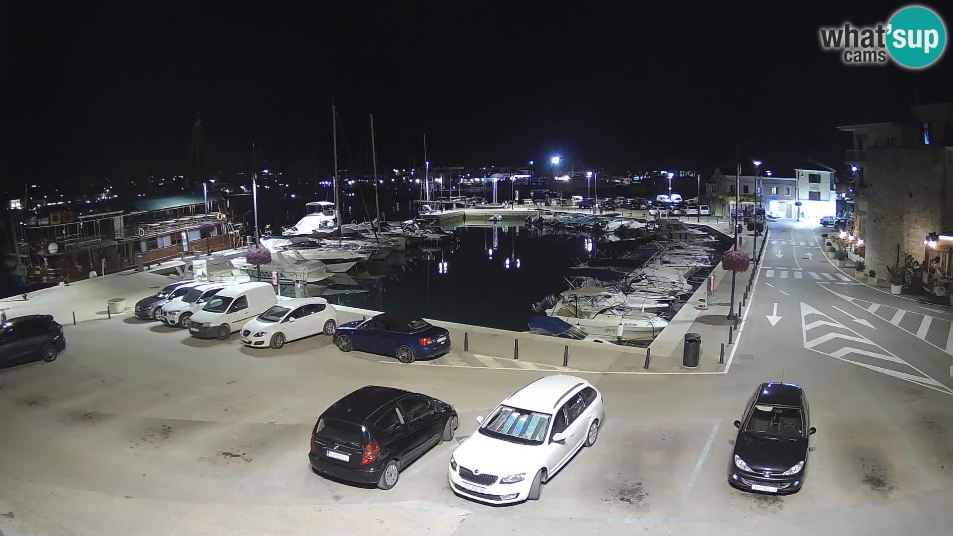 Novigrad | Porporela marina