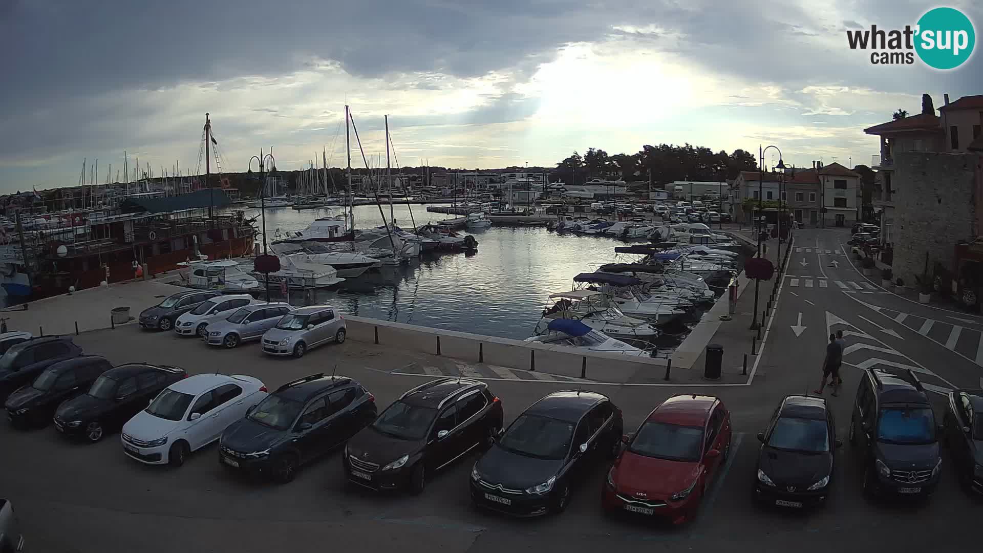 Novigrad | Porporela marina