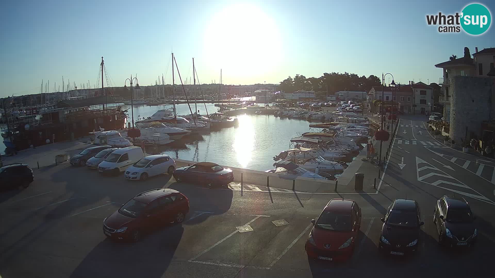 Novigrad | Porporela marina