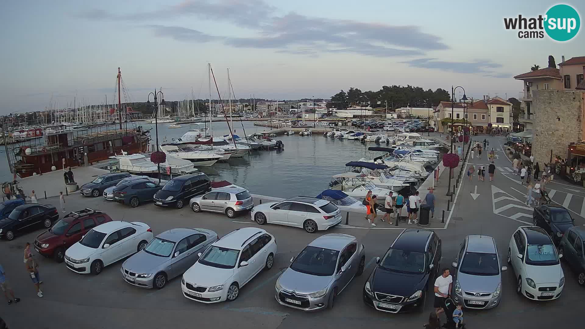 Novigrad | Porporela marina