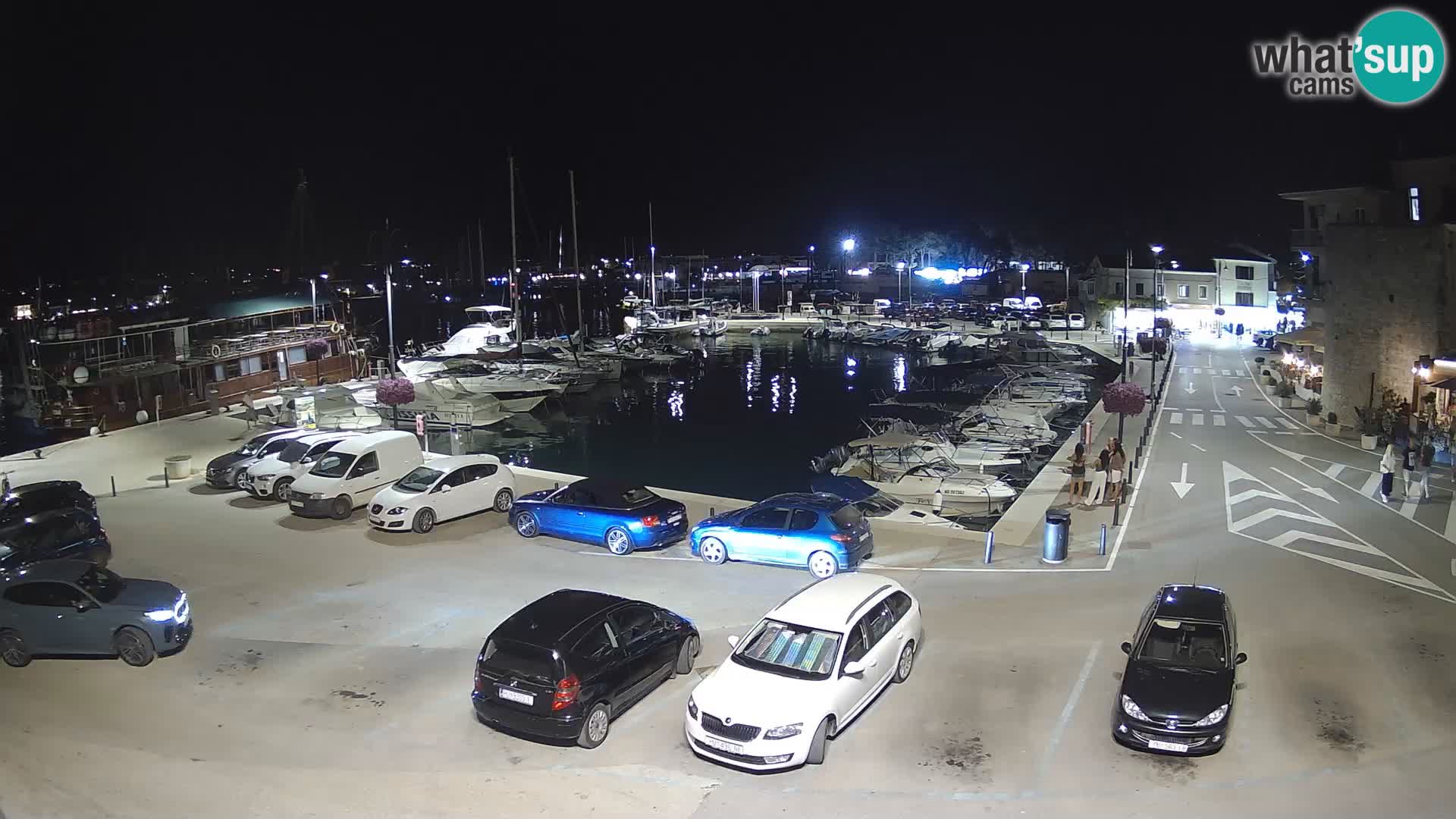 Novigrad | Porporela marina