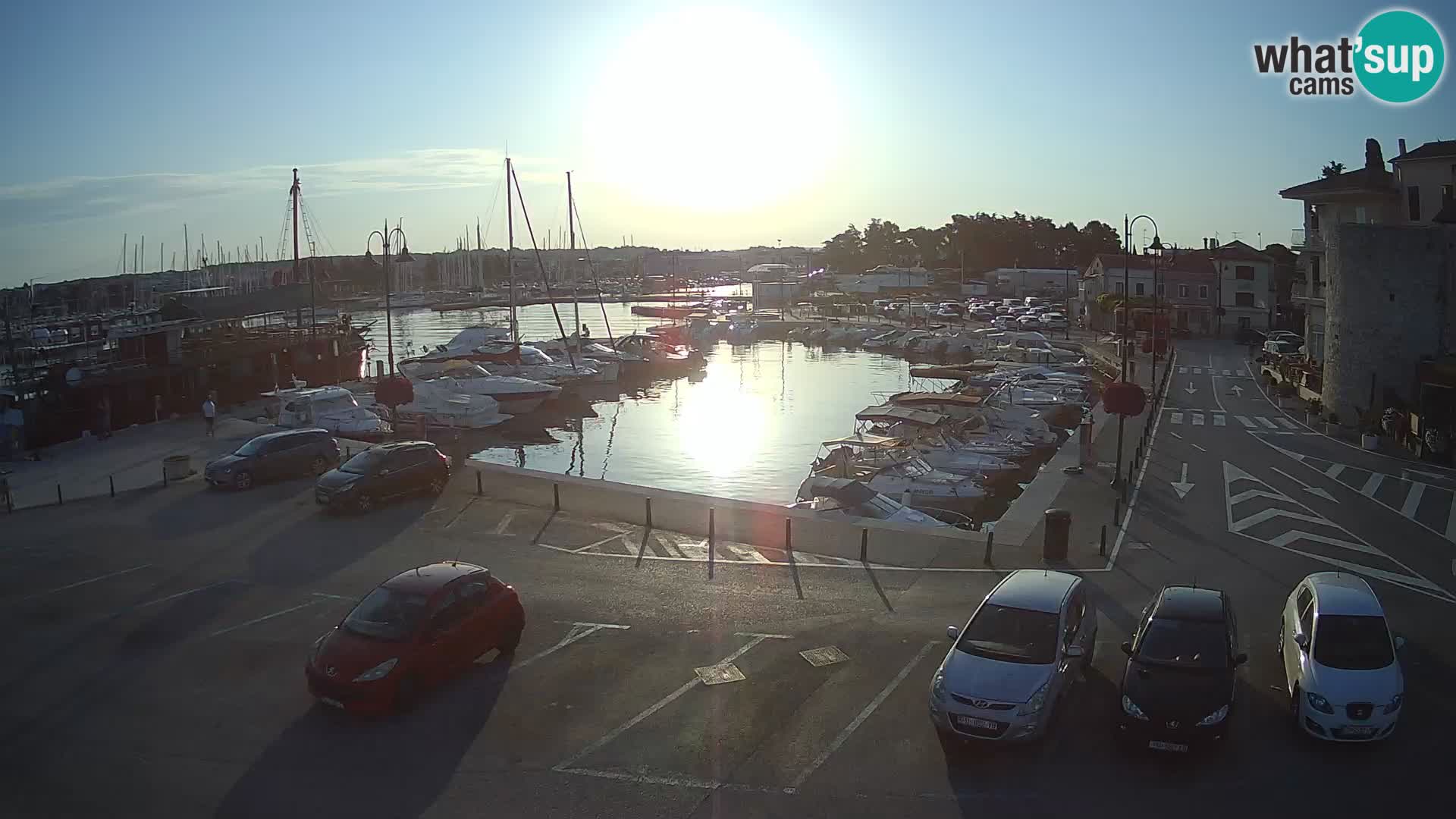 Novigrad | Porporela marina
