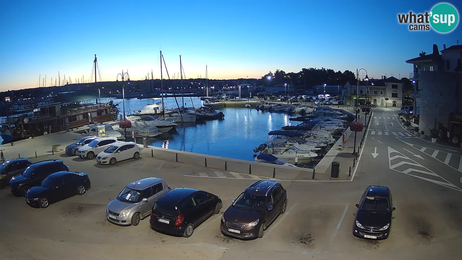 Novigrad | Porporela marina