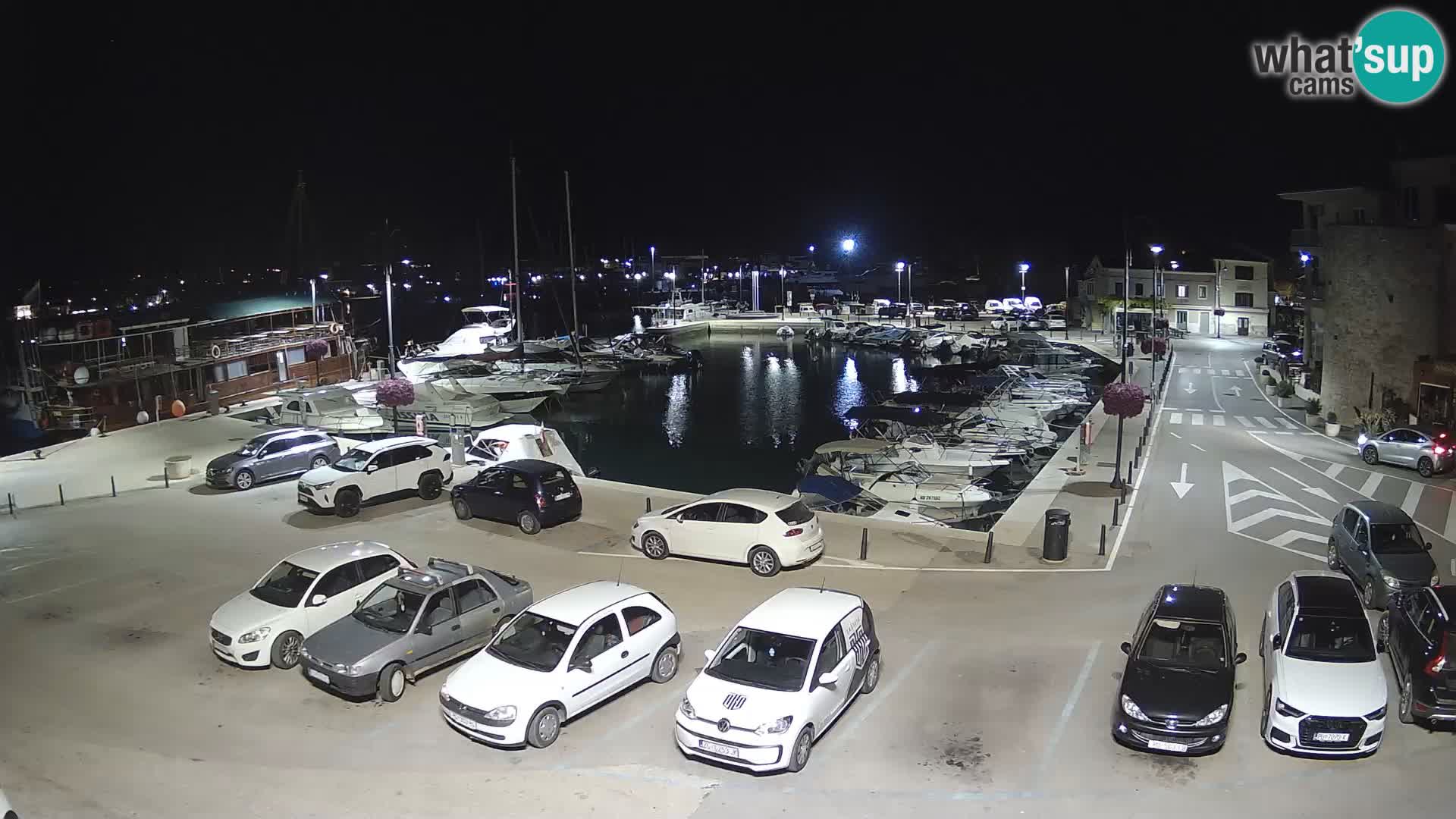 Novigrad | Porporela marina