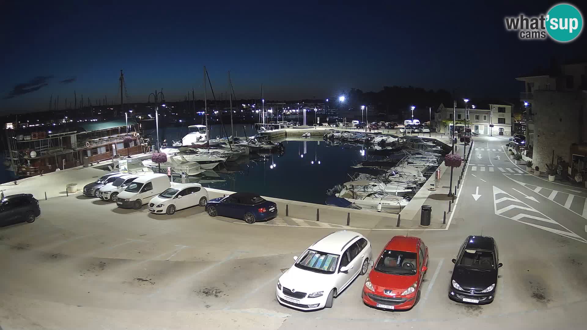 Novigrad | Porporela marina