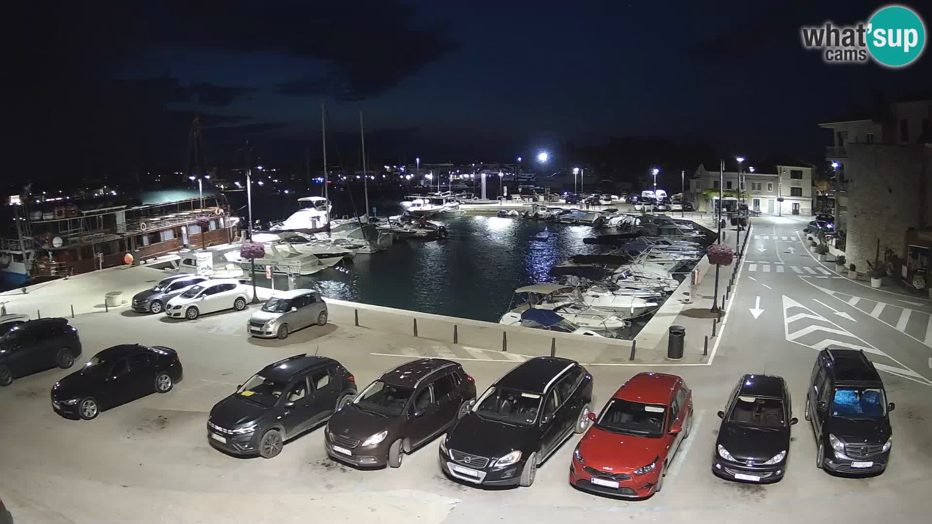 Novigrad | Porporela marina