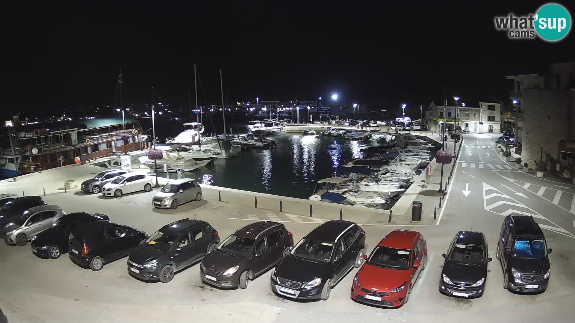 Novigrad | Porporela marina