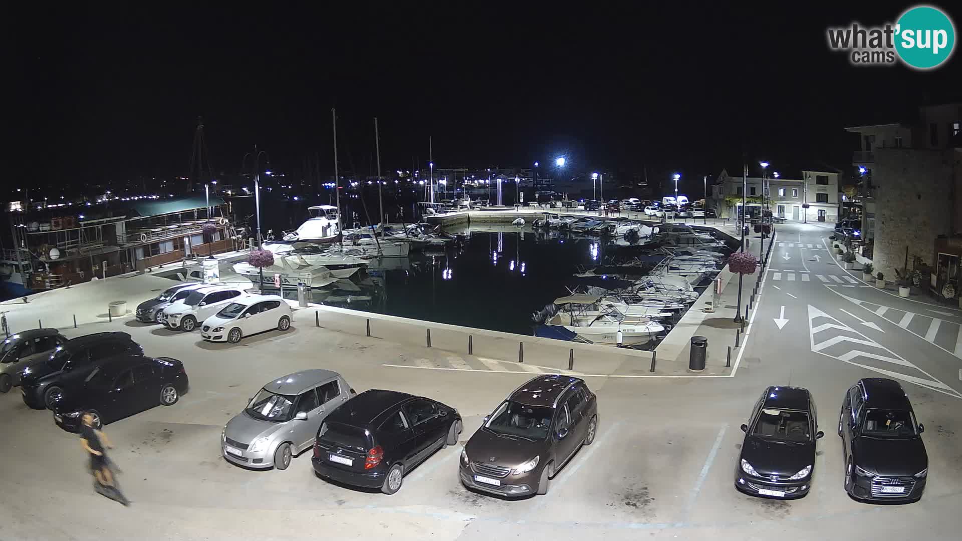 Novigrad | Porporela marina