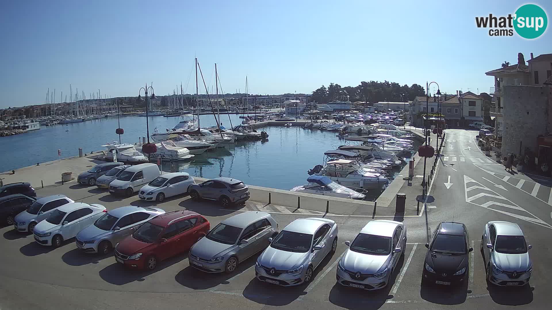 Novigrad | Porporela marina
