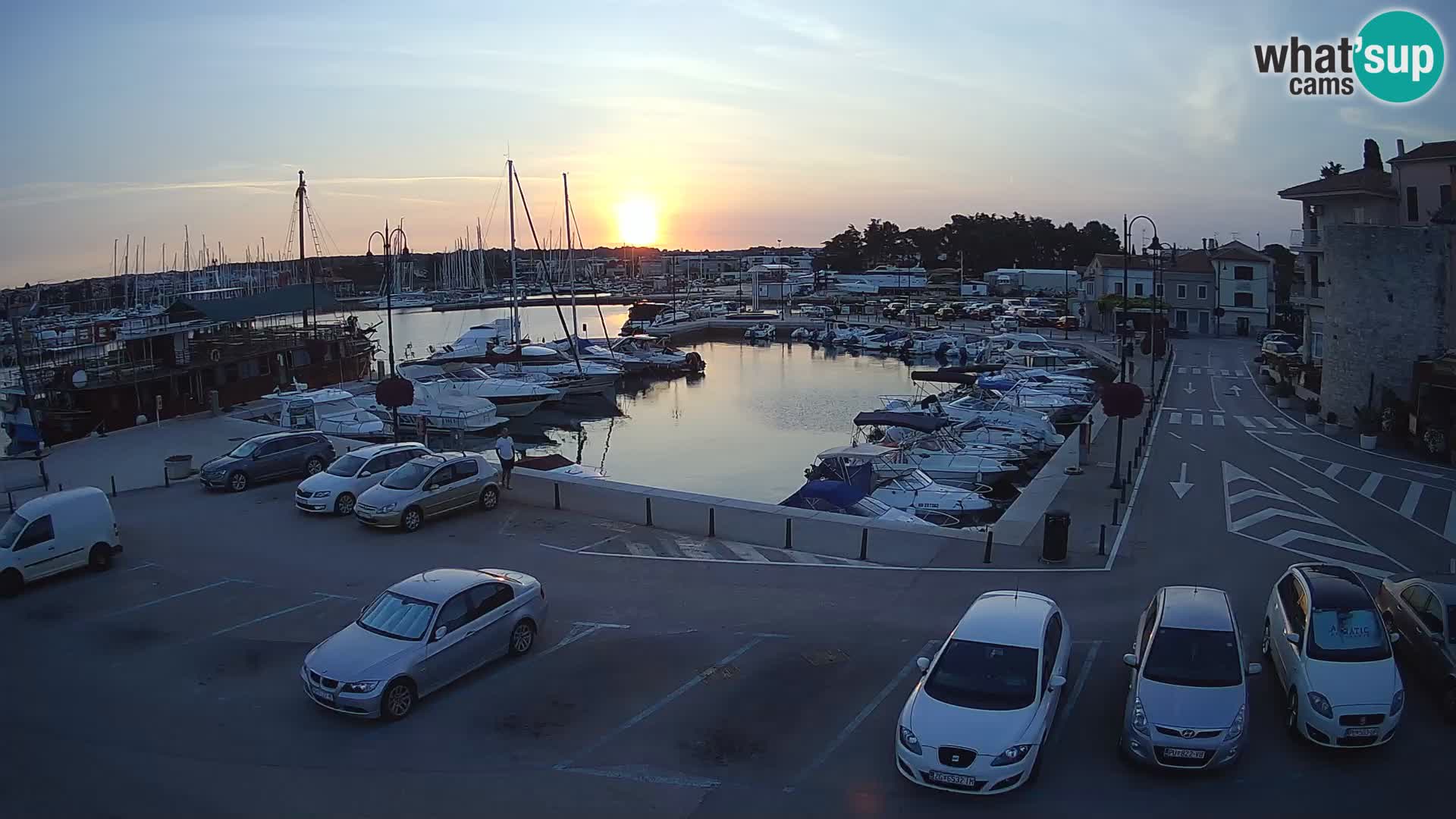Novigrad | Porporela marina