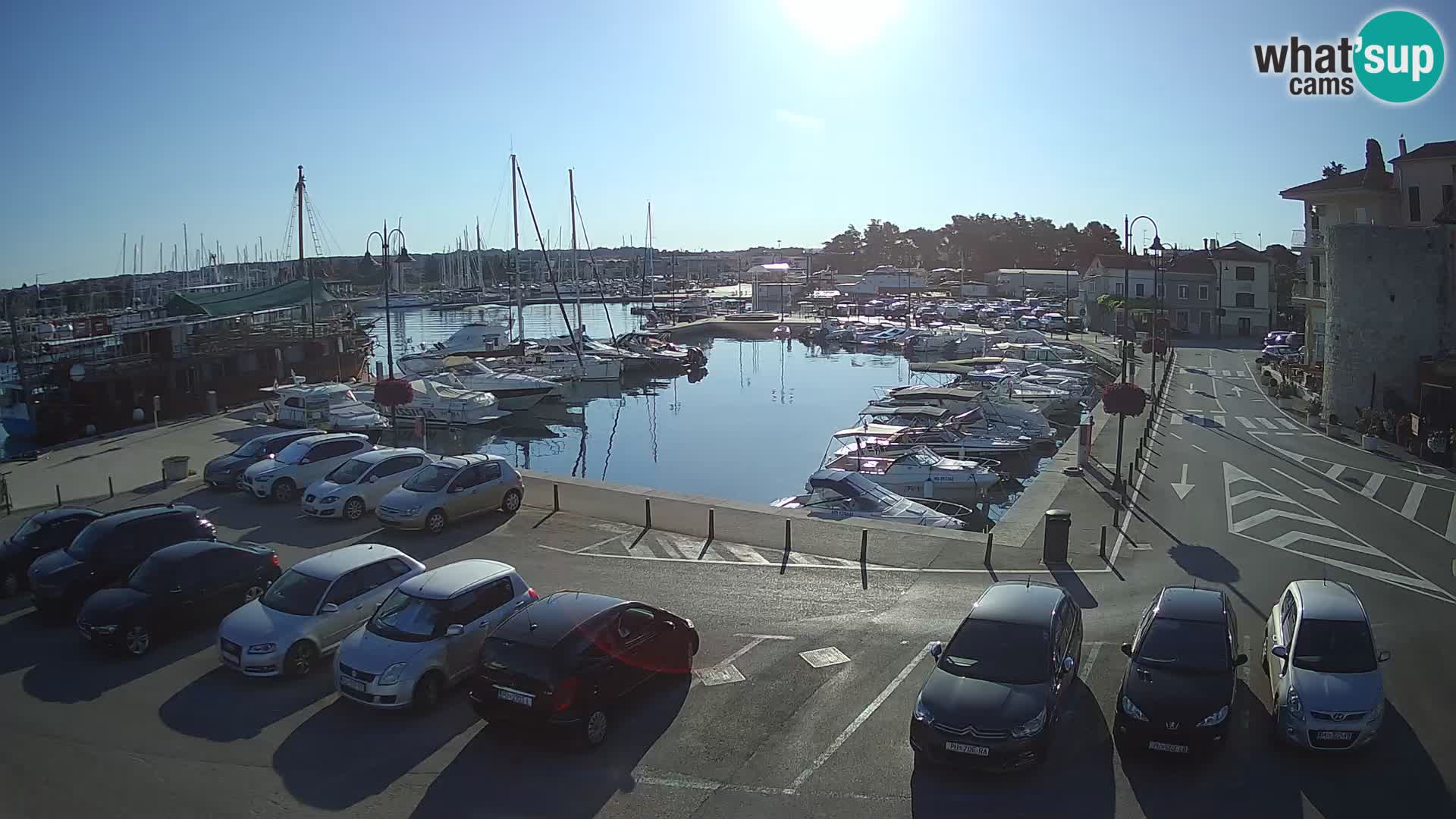 Novigrad | Porporela marina