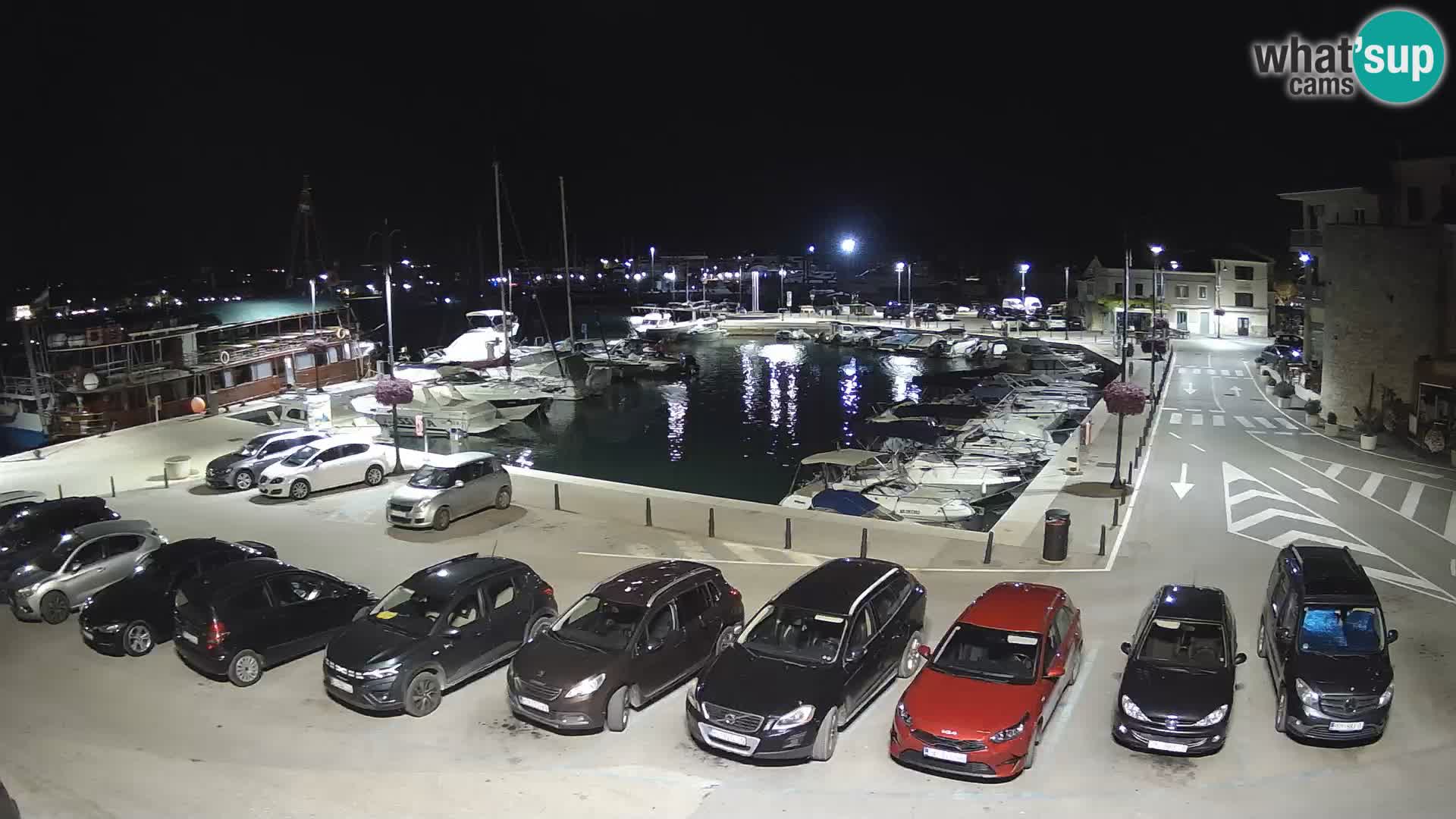 Novigrad | Porporela marina