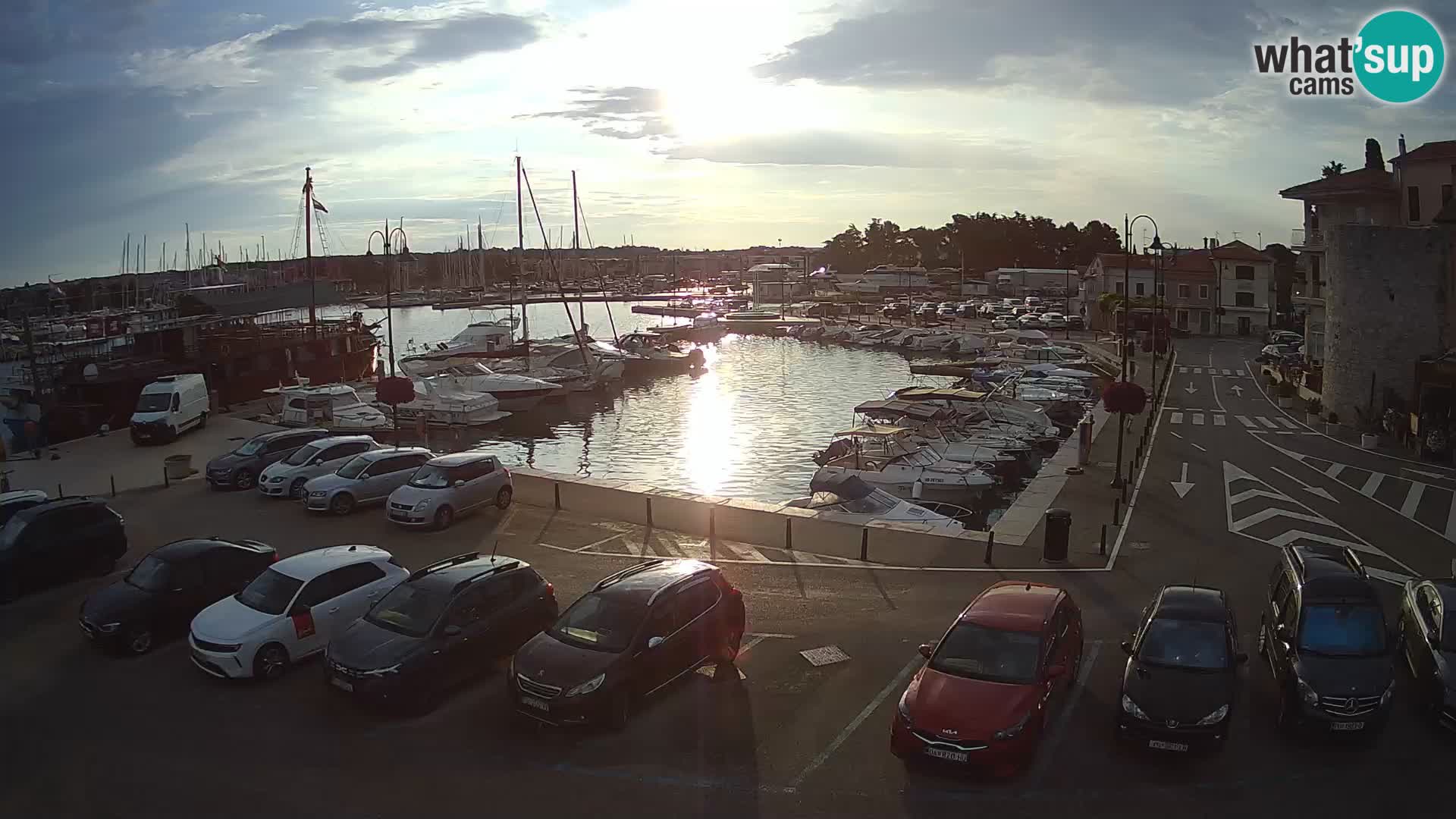 Novigrad | Porporela marina