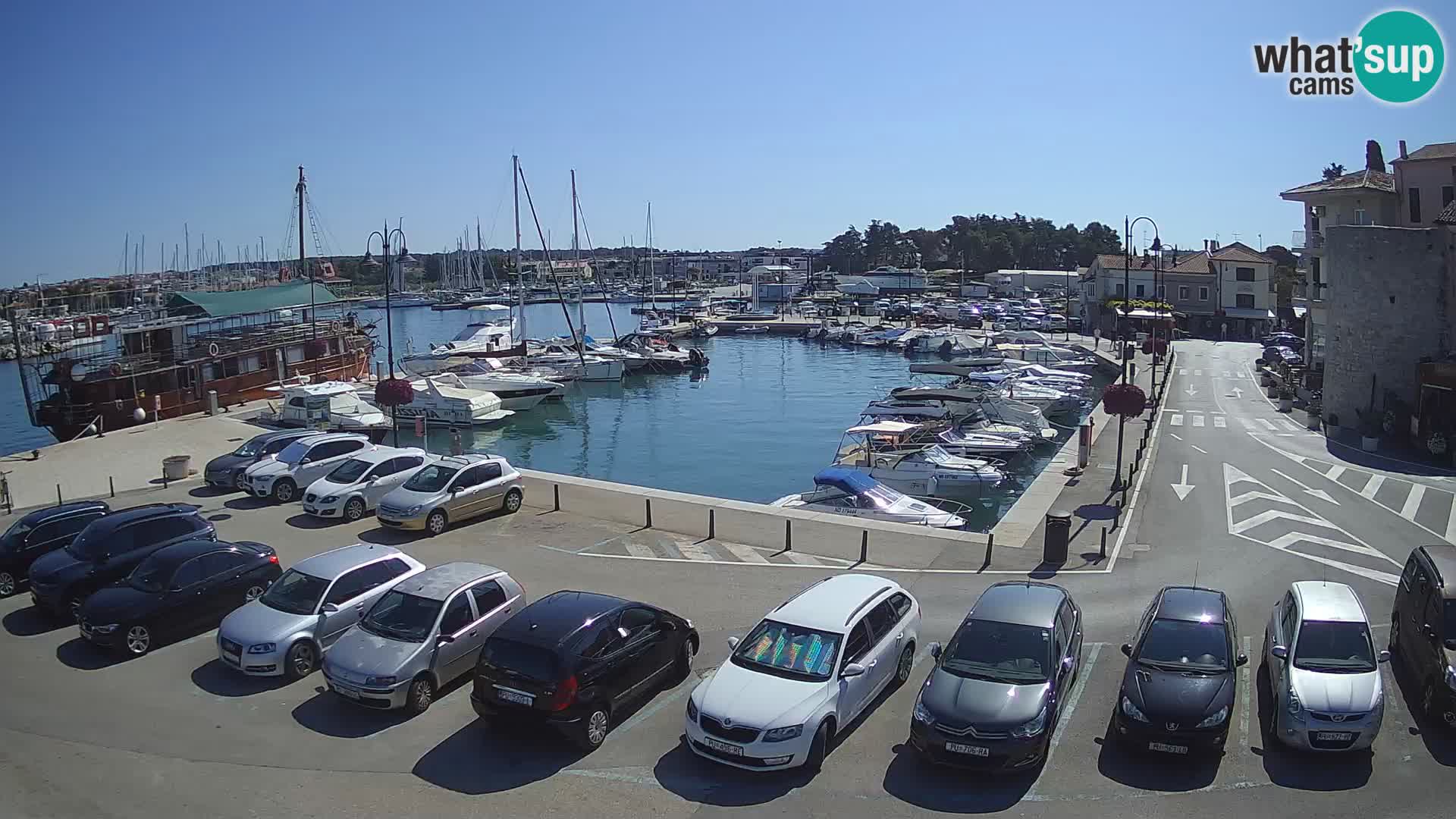 Novigrad | Porporela marina