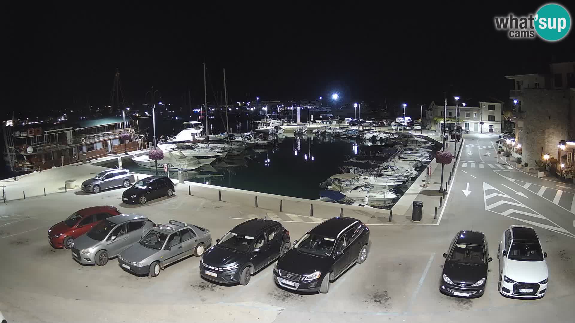 Novigrad | Porporela marina
