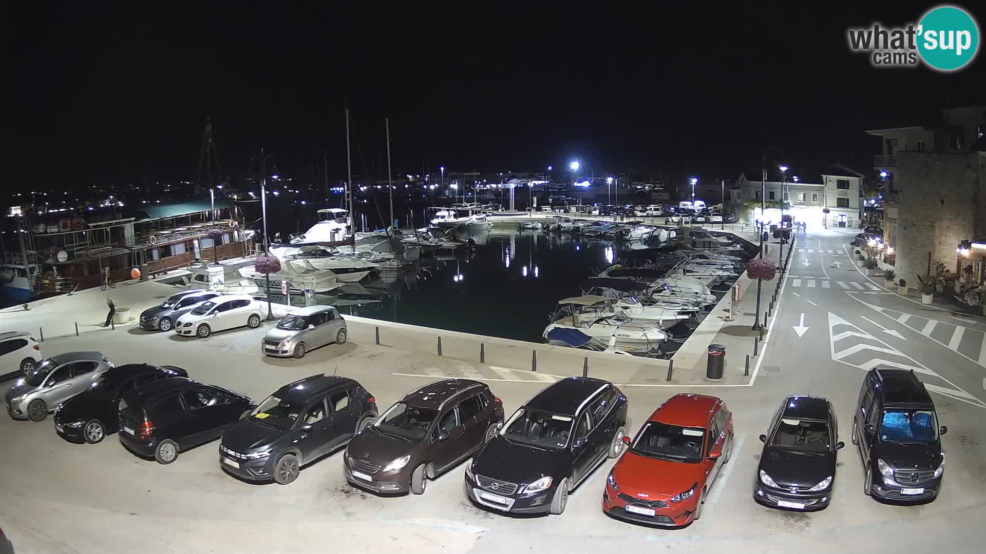 Novigrad | Porporela marina
