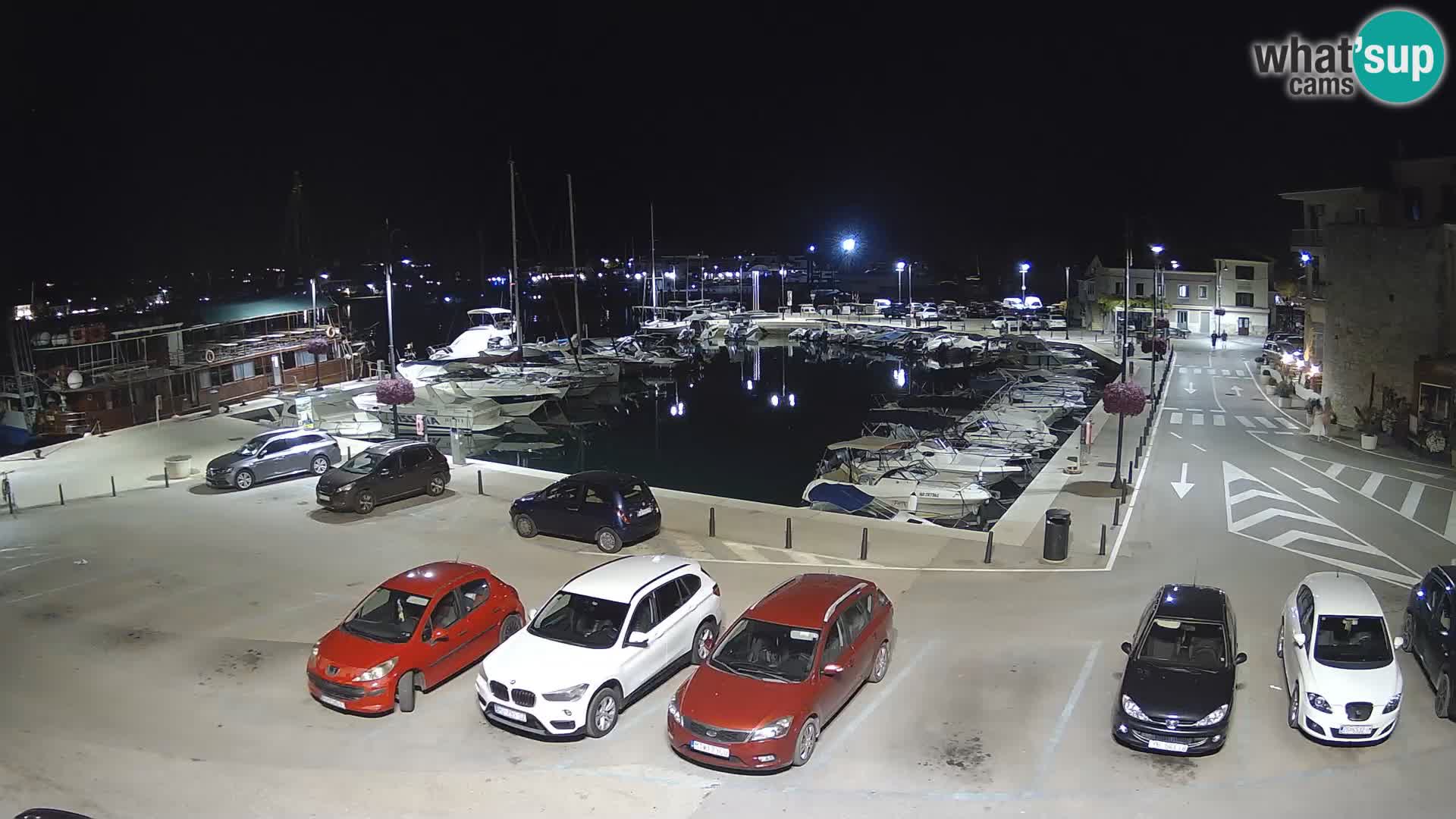 Novigrad | Porporela marina
